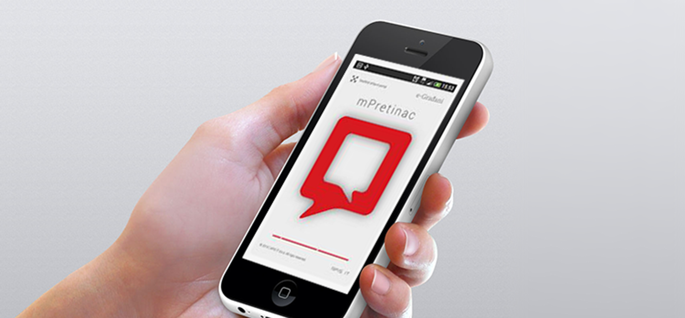 The e-Citizens system